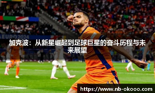 加克波:从新星崛起到足球巨星的奋斗历程与未来展望
