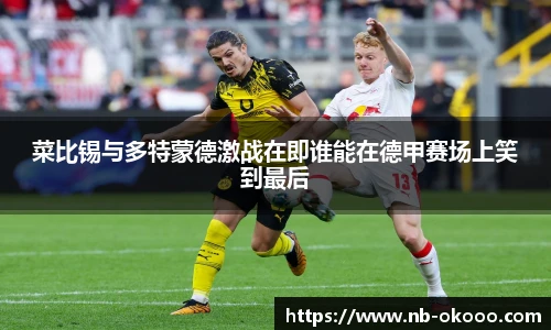 菜比锡与多特蒙德激战在即谁能在德甲赛场上笑到最后