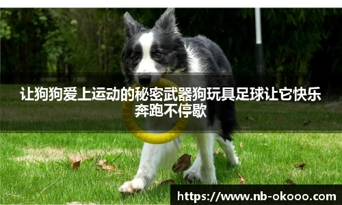 okooo澳客网官网